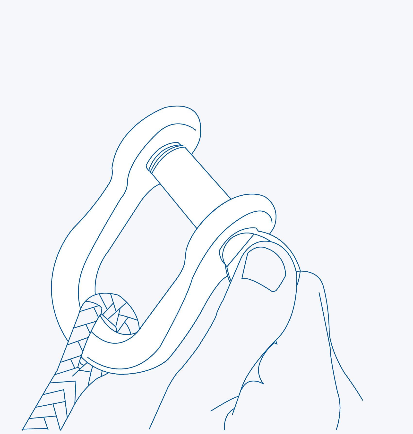 S361R Light D-shackle - 316