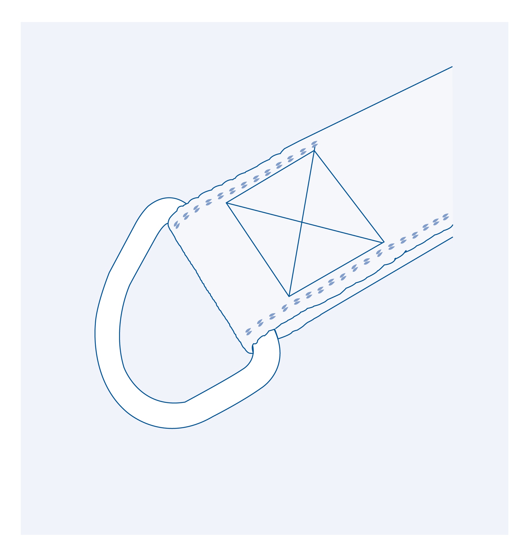 SF3250 Dee ring - 316