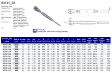 S3121_B3 Turnbuckle with Fork & Swage stud B3