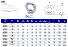 S582 Eye Nut