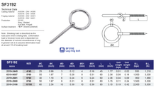 SF3192 Lag ring bolt